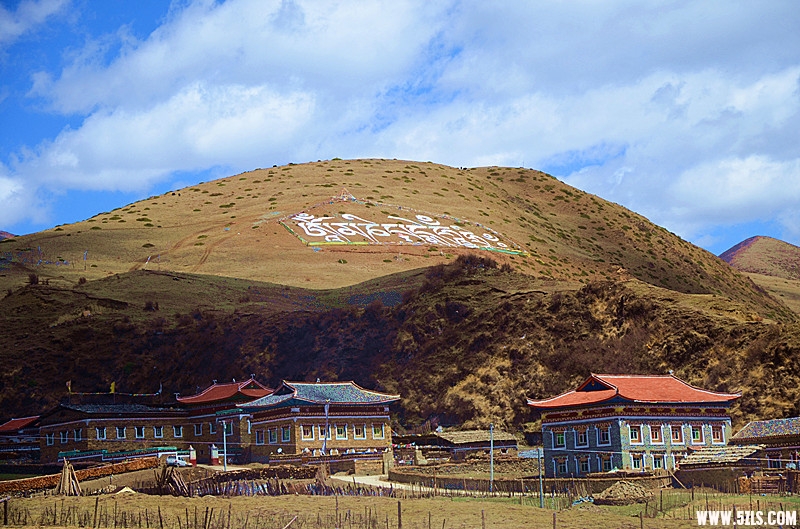 DSC_0689.JPG