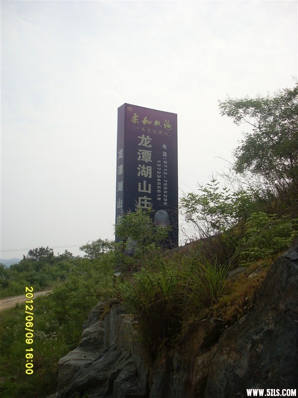 005.jpg