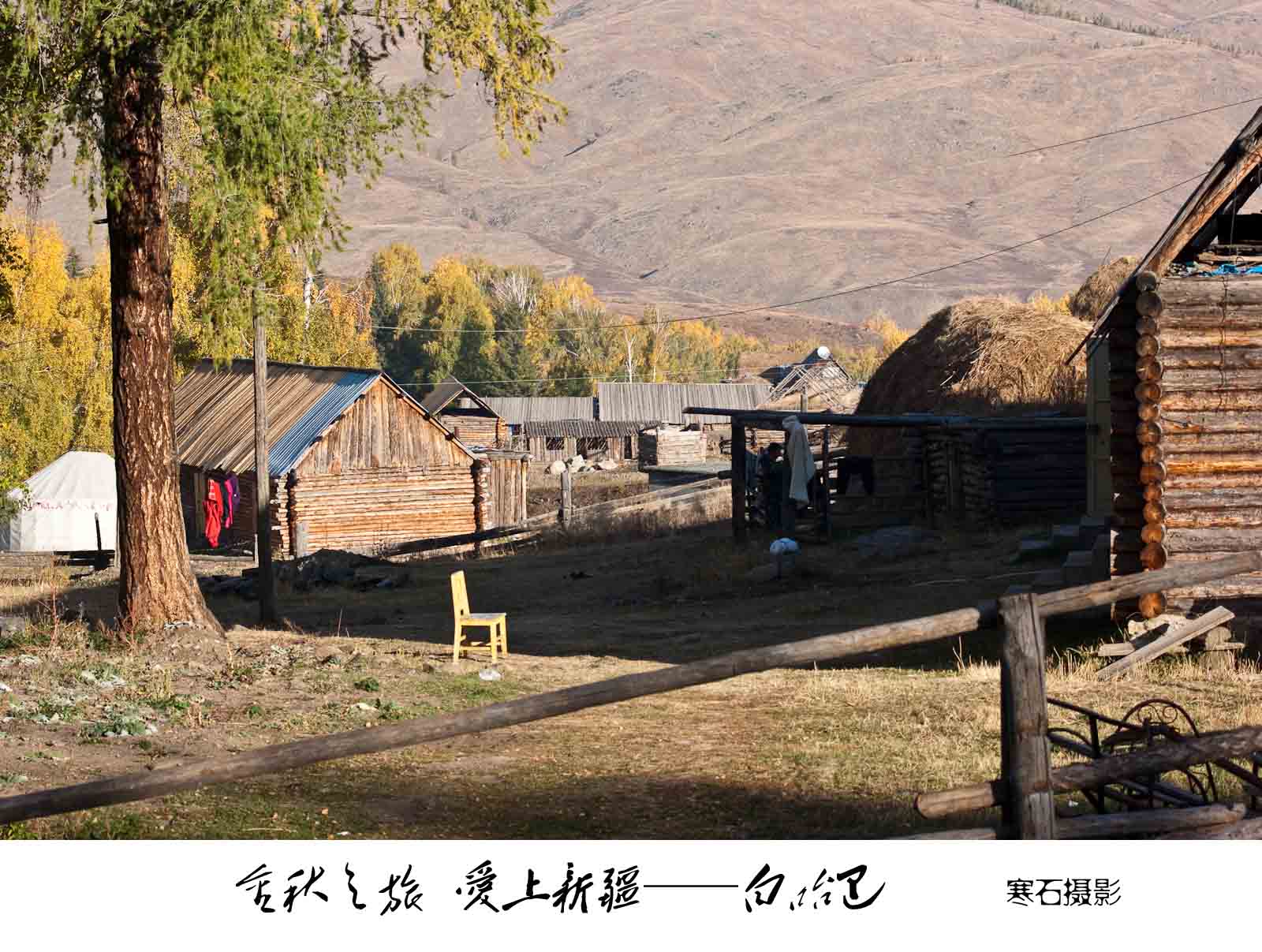 dsc03717.jpg