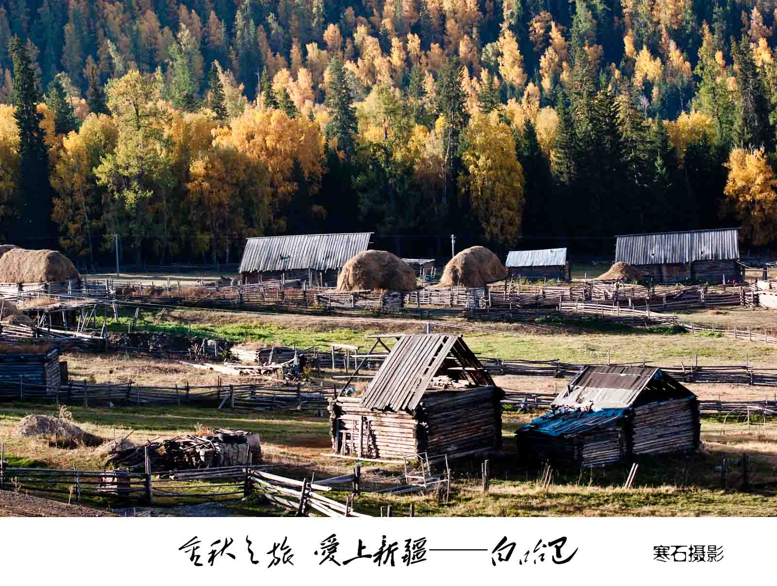 dsc03729.jpg