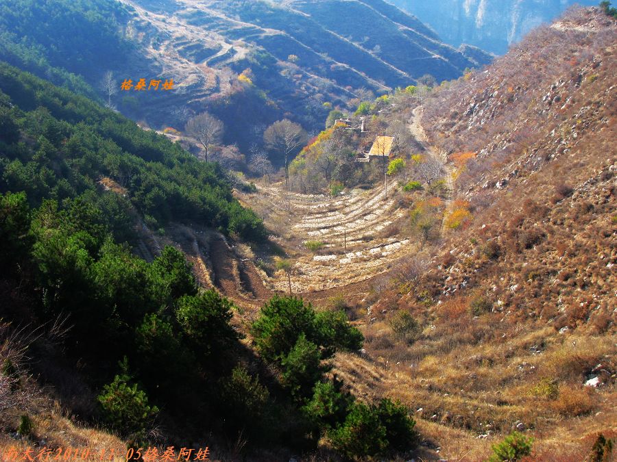 阿娃 216.jpg