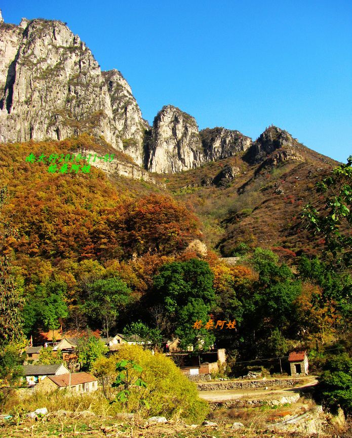 ���� 114.jpg