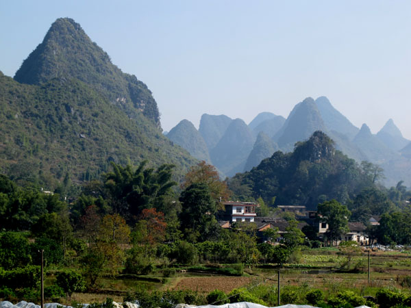 yuen 830����.jpg