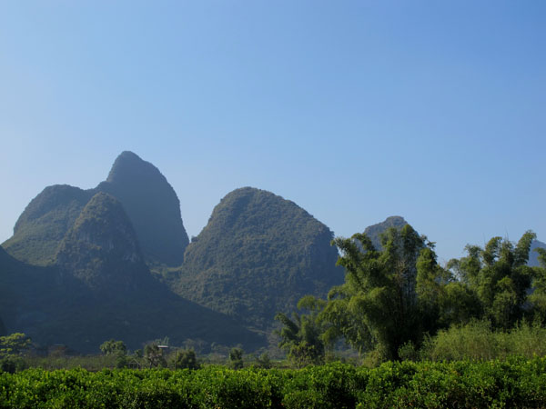 yuen 826����.jpg