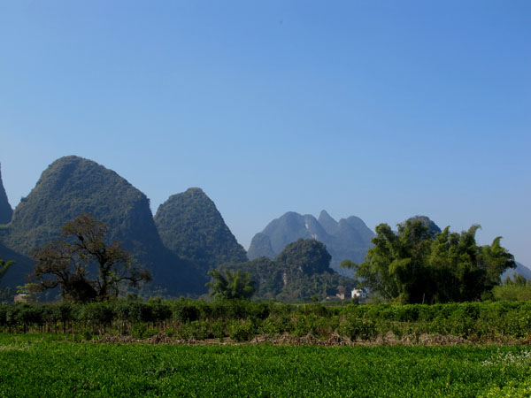 yuen 827����.jpg