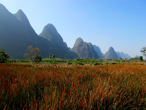 yuen 844����.jpg