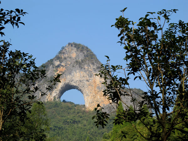 yuen 898����.jpg