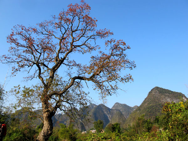 yuen 877����.jpg