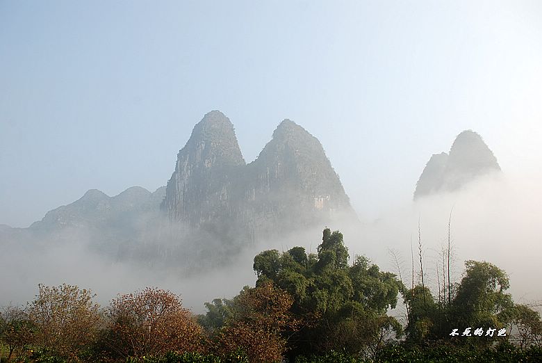 dsc_7538_neo_img.jpg