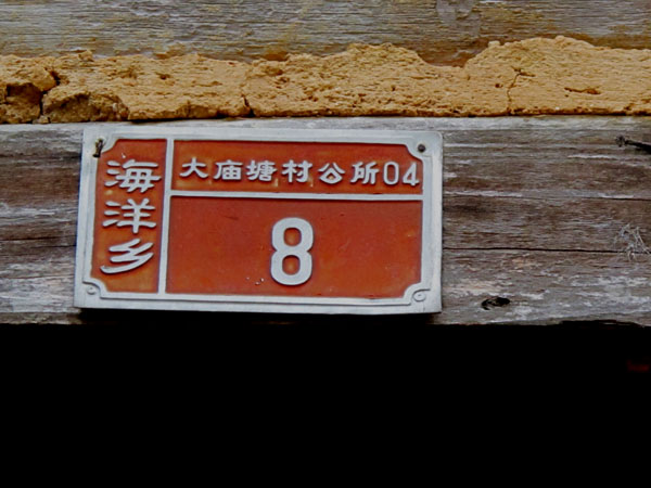 yuen 631����.jpg