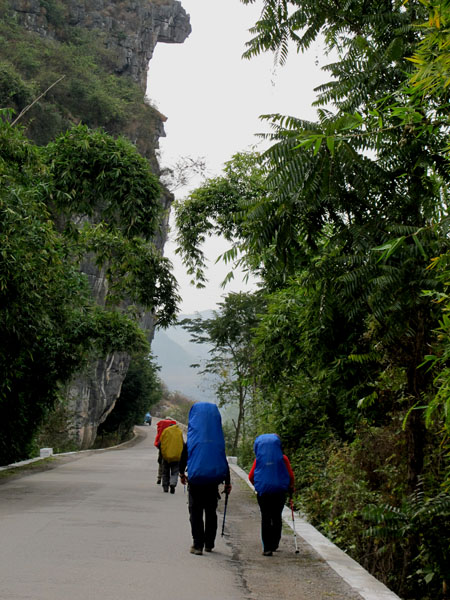 yuen 667����.jpg