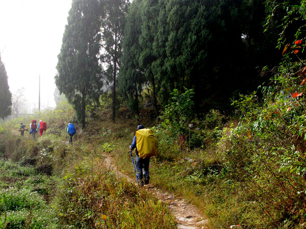 yuen 691����.jpg
