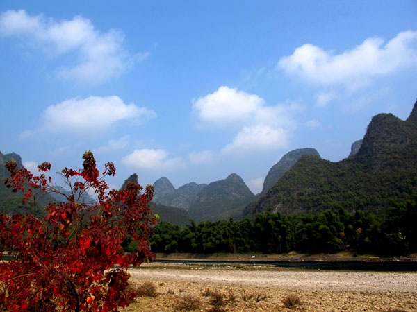 yuen 715����.jpg