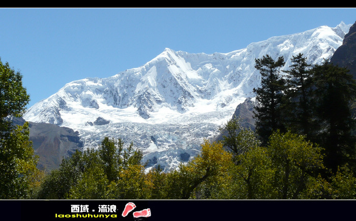 p1090526_��Ӱ_1.jpg