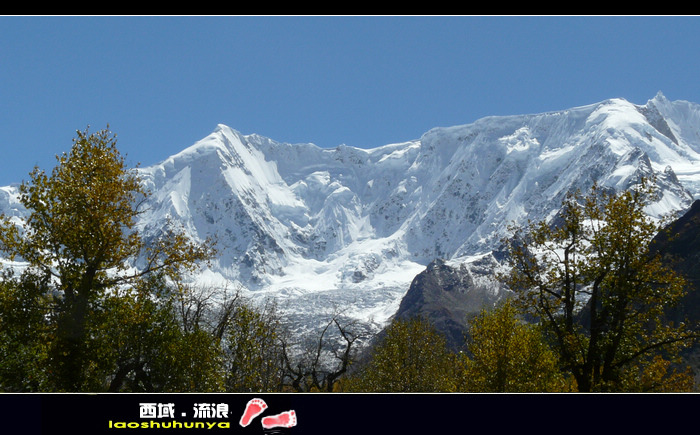 p1090536_��Ӱ_1.jpg