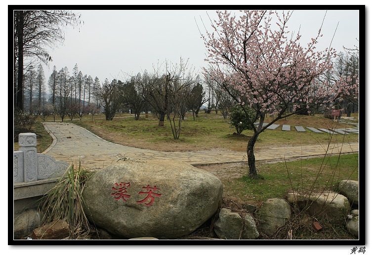 ��Ƭ 029.jpg