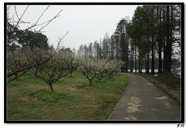��Ƭ 032.jpg
