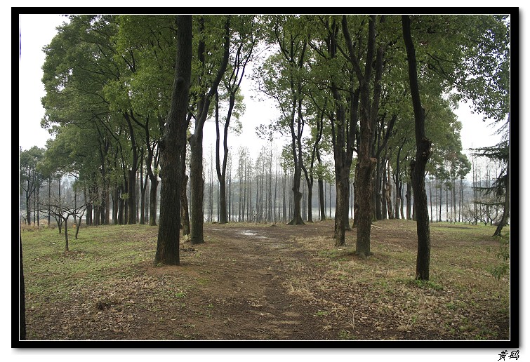 ��Ƭ 037.jpg