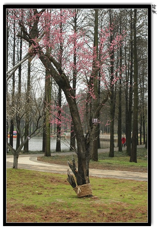 ��Ƭ 019.jpg