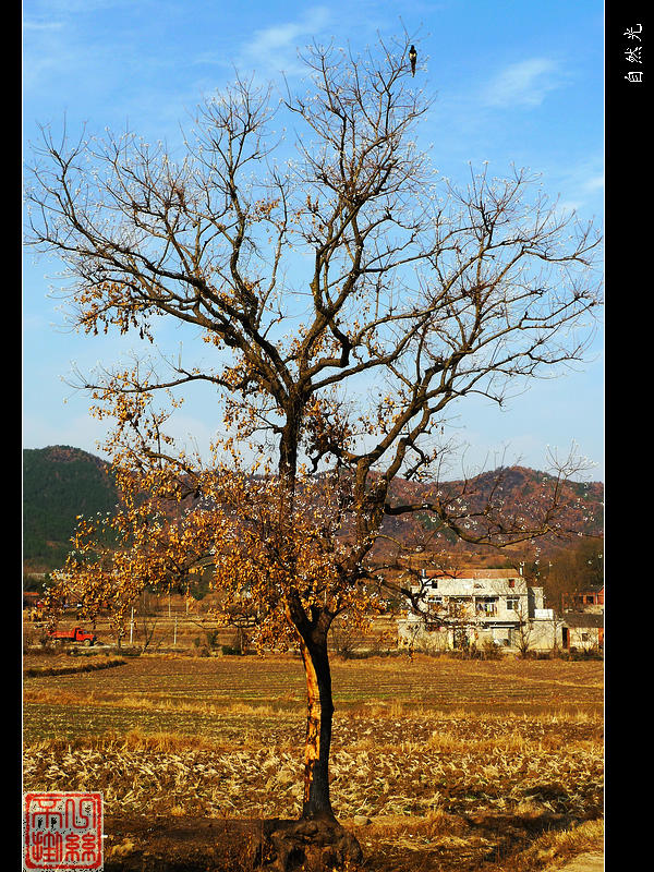 l1080124.jpg