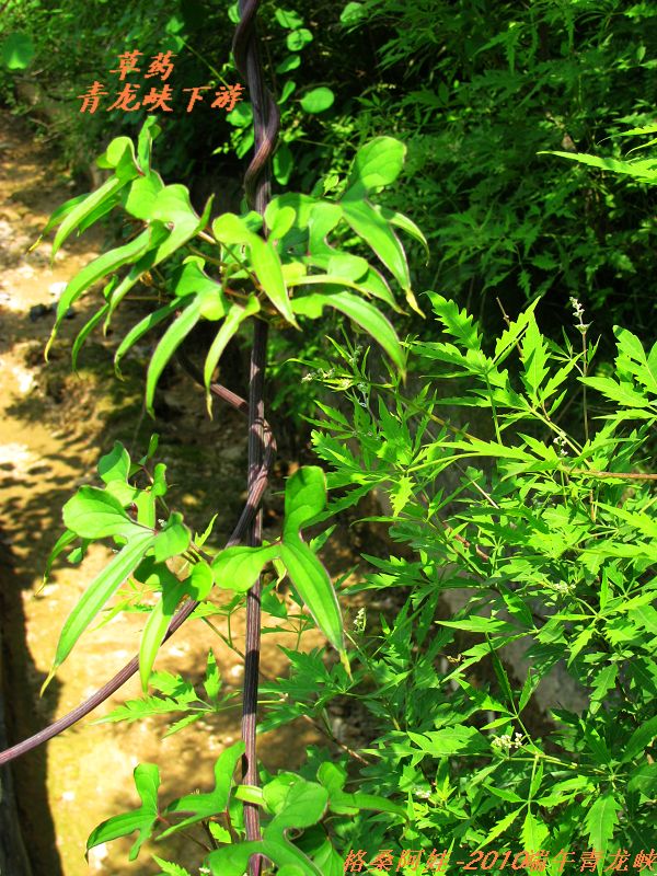 ������̫��֮��2 037.jpg