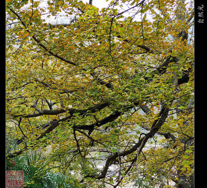 l1070836.jpg