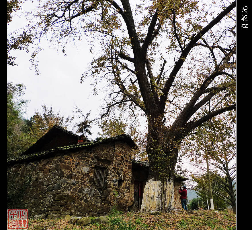 l1070849.jpg