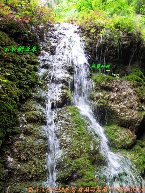 2009691612����Ȫ3.jpg