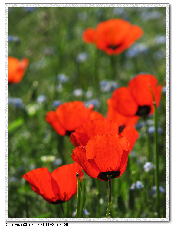 ��ת img_0994.jpg