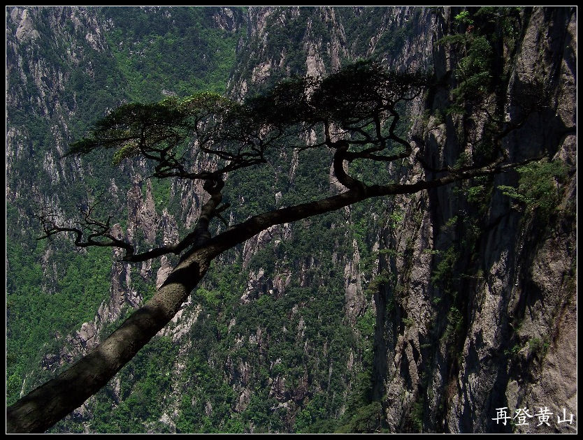 2010年0524黄山k下西海大峡谷 (30)11点39分.jpg