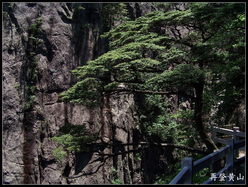 2010年0524黄山k下西海大峡谷 (31)11点39分.jpg