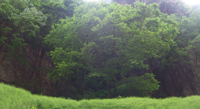 2010��̨ɽ 073.jpg