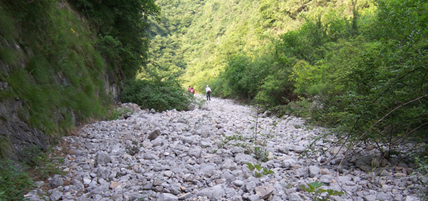 2010��̨ɽ 189.jpg