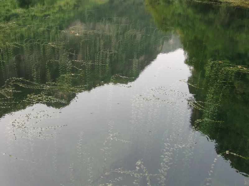 ��ӳ��Ȥ.jpg