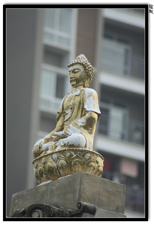 �ŵ���081.jpg