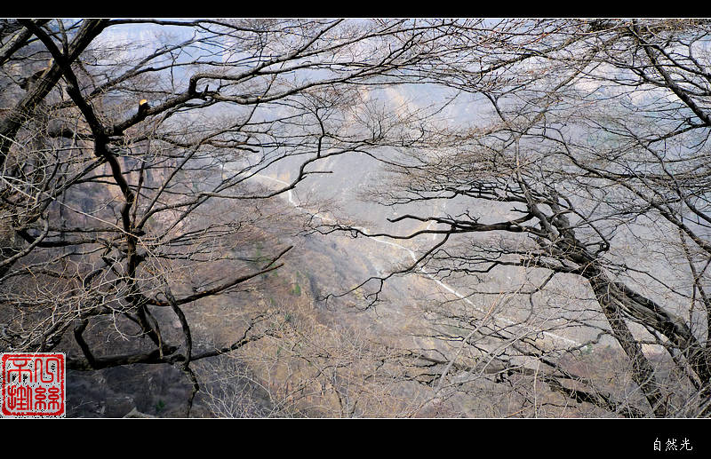 l1100502.jpg