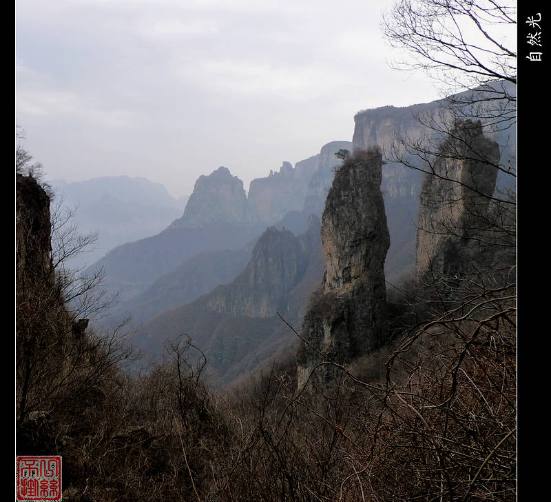 l1100317.jpg