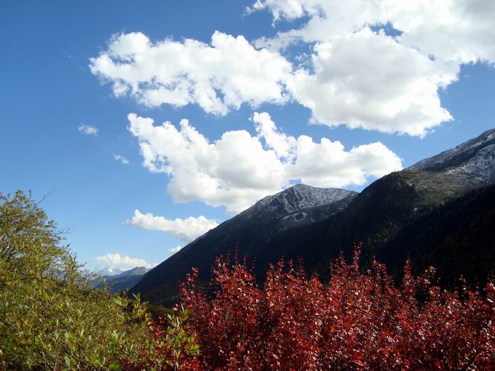 dsc09267.jpg
