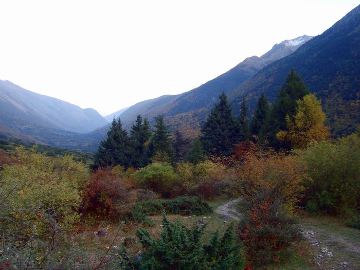 dsc09472.jpg