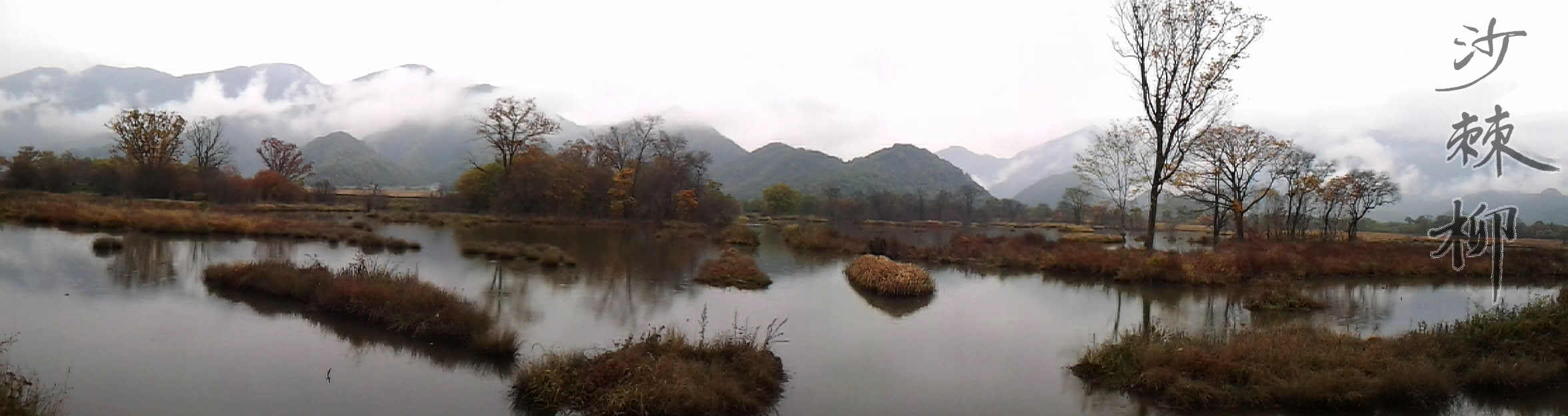 20111004_093931.jpg