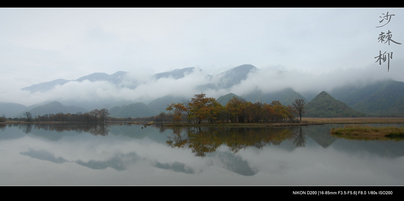 dsc_0153-4.jpg