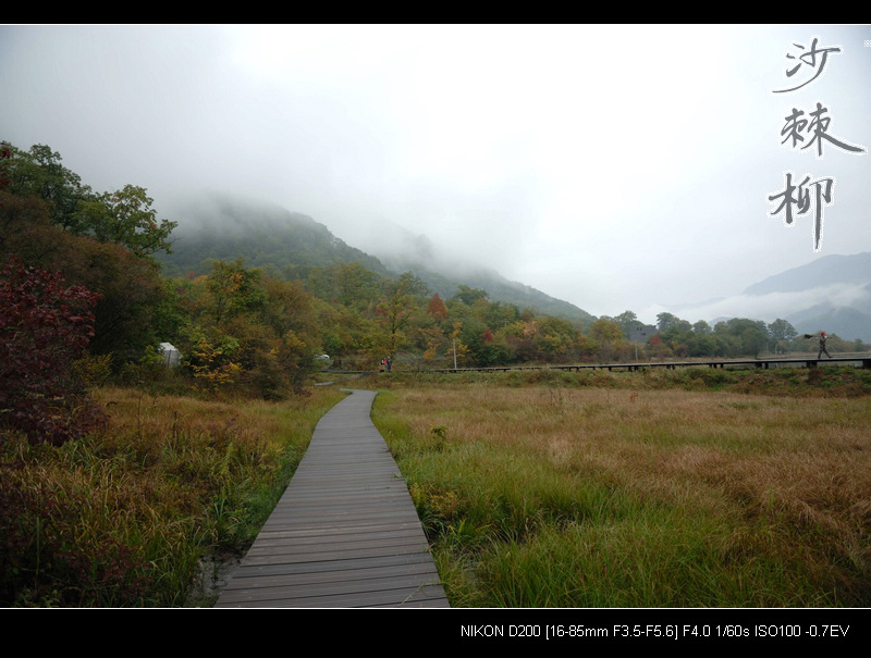 dsc_0110.jpg