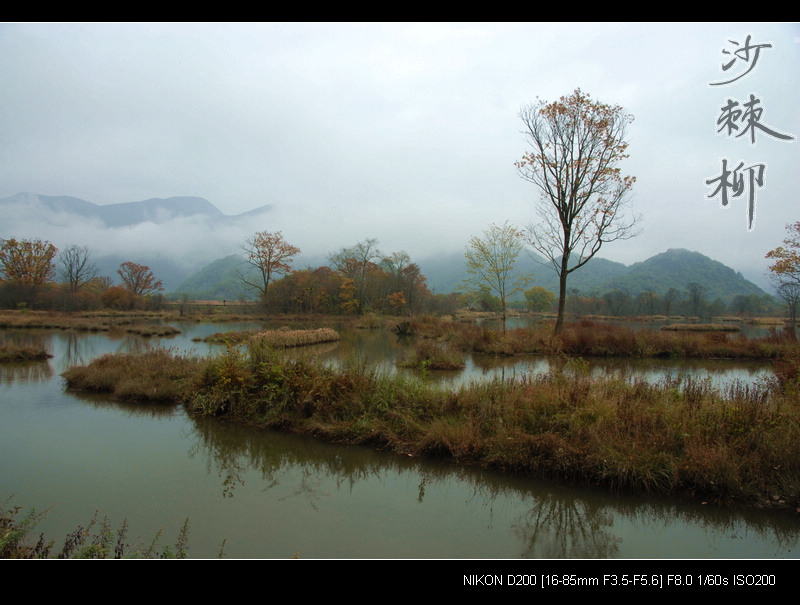 dsc_0136.jpg