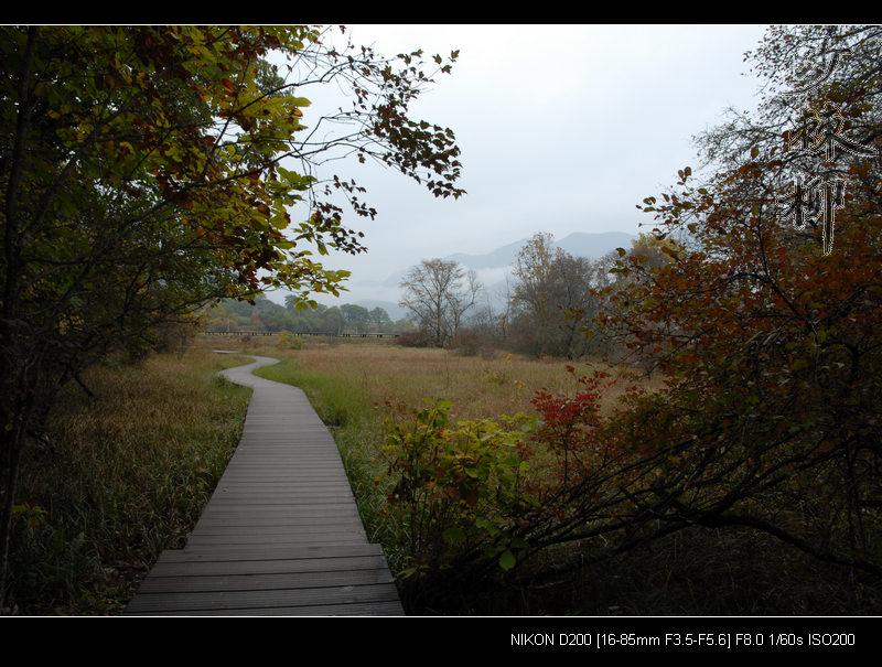 dsc_0140.jpg