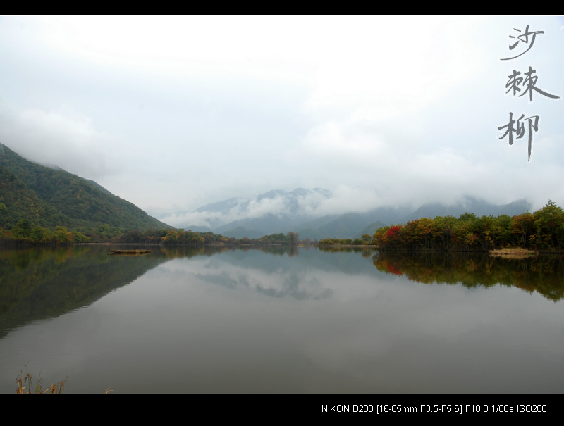 dsc_0160.jpg