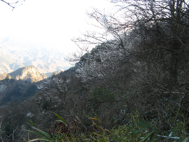 �պ��ŵ���Խ 050_����.jpg