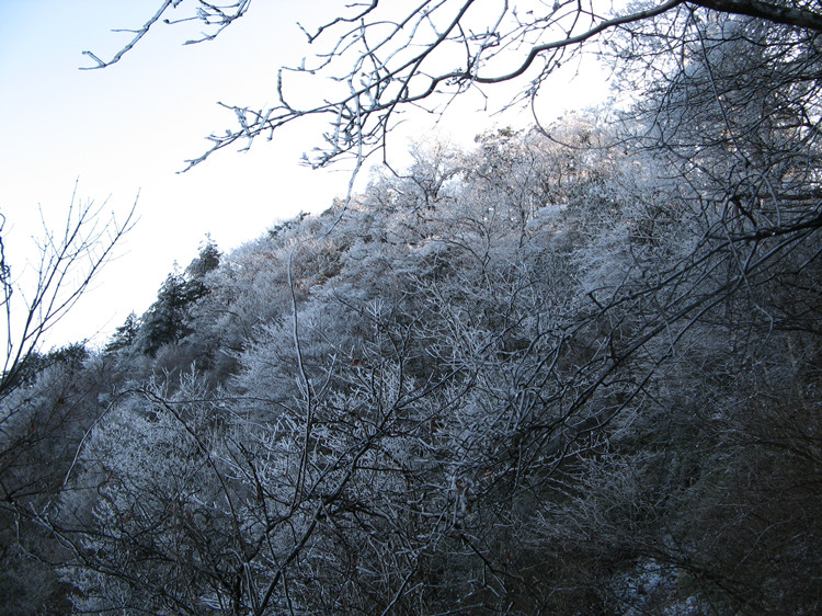 �պ��ŵ���Խ 055_����.jpg