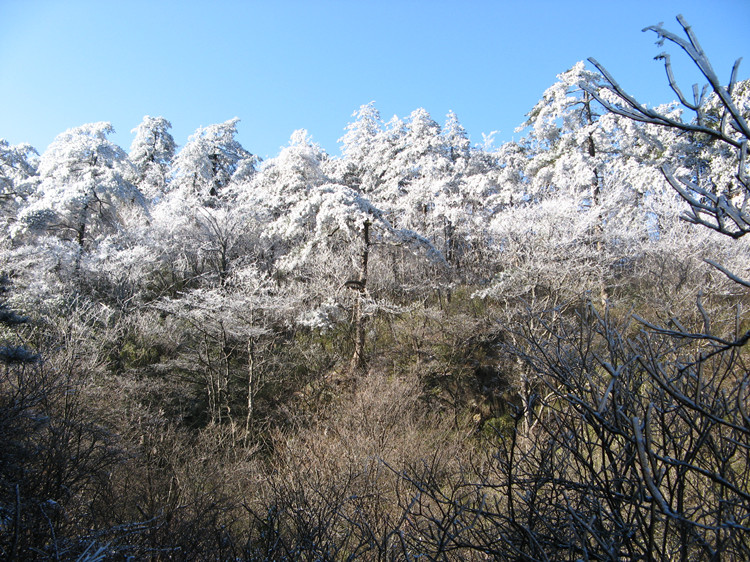�պ��ŵ���Խ 063_����.jpg