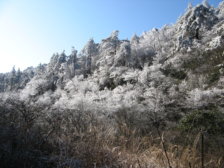 �պ��ŵ���Խ 064_����.jpg
