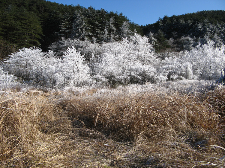 �պ��ŵ���Խ 067_����.jpg